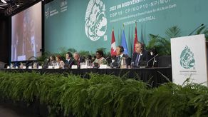 La parte más significativa del acuerdo era un compromiso de proteger el 30% de la tierra y el agua consideradas como importantes para la biodiversidad para 2030.&nbsp;