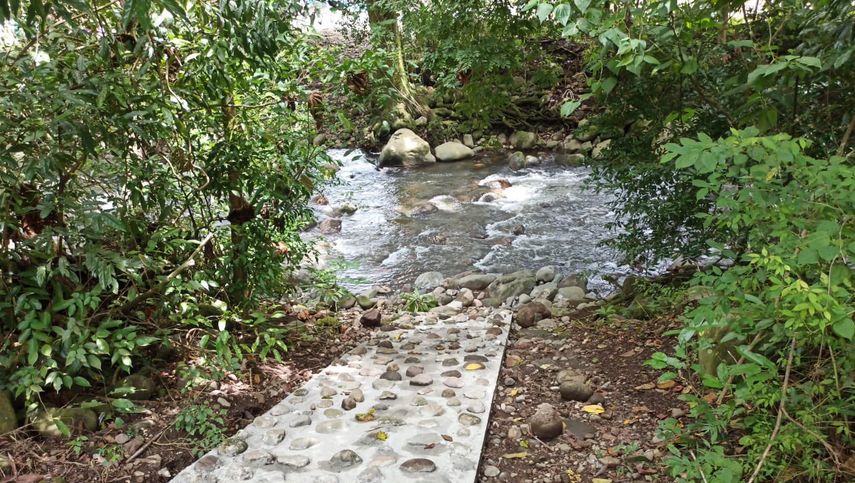 MiAmbiente investiga el vertido de una sustancia blanquecina