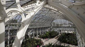 El invernadero más grande del mundo vuelve a abrir sus puertas en Londres