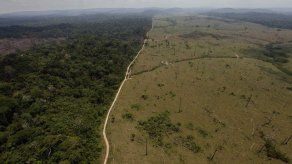 Arrestan en Brasil al mayor deforestador de la selva amazónica