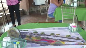 Vía España tendrá parque y reubicación de vendedores