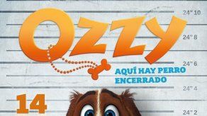 Rápido y peludo Ozzy