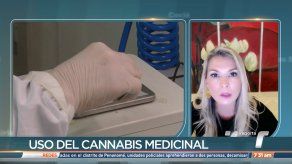 Expertos explican cómo abordar el cannabis medicinal en Panamá
