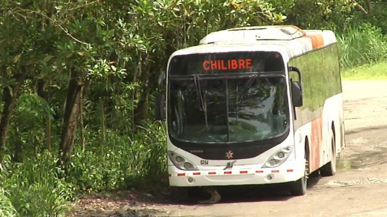Empresa Mi Bus introdujo buses de forma improvisada: Martínez