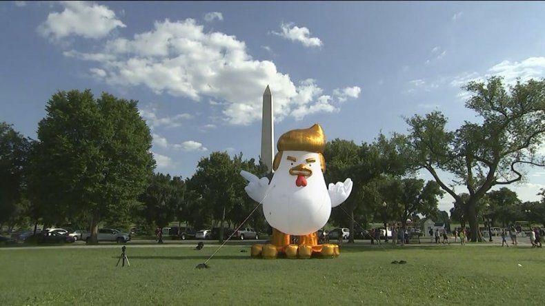 Aparece gallo inflable imitando a Trump ante Casa Blanca