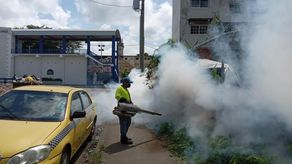 MINSA: Soliciten que se apliquen multas a quienes no colaboren en la eliminación de criaderos de mosquitos.