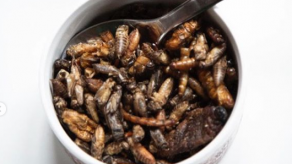 El Museo de la Comida Asquerosa llega a Los Angeles