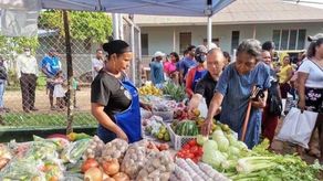 ¡HOY 22 DE DICIEMBRE! Agroferias en Panamá, Coclé y en 8 lugares más.
