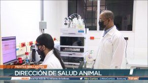 Mentes Brillantes: Químicos panameños garantizan que los alimentos sean aptos para consumo