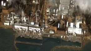 Detectan peces con altos niveles de radiactividad en ríos de Fukushima
