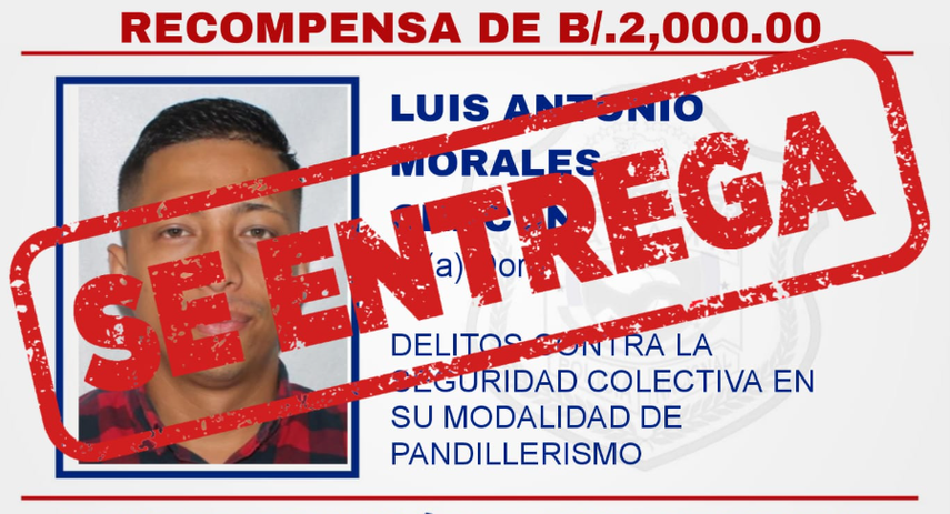 Se entrega alias Dora