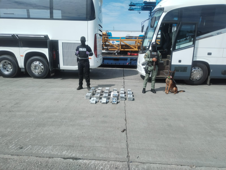 Buses que transportaban la presunta droga en la provincia de Colón
