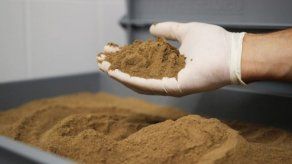 Hay que destacar que con esta habilitación se suman 18 empresas panameñas que están en condiciones de exportar hacia China. Hay que destacar que con esta habilitación se suman 18 empresas panameñas que están en condiciones de exportar hacia China.