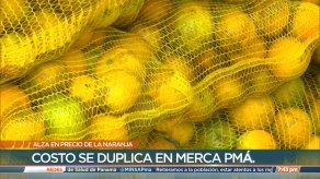 Precio de la naranja se mantiene en Merca Panamá