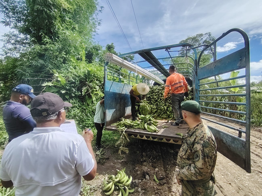 Plátanos de contrabando