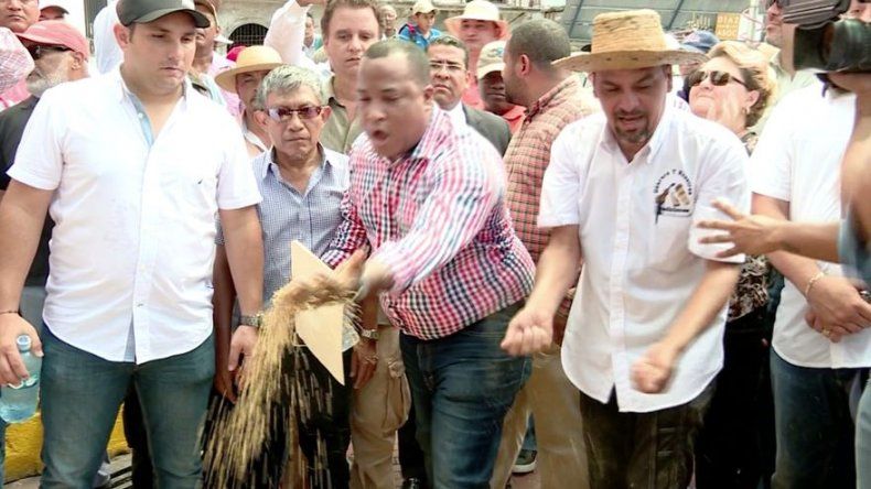 Problema para compra de arroz nacional es por falta de capacidad en molinos, MIDA