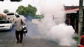 Minsa realizará operativo en Las Mañanitas por mosquito Aedes Aegypti