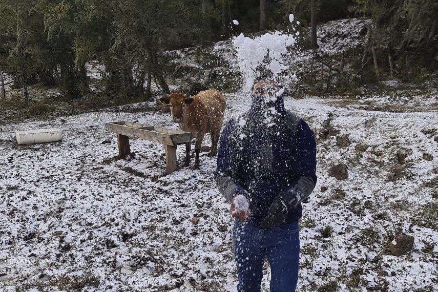 Nevada en Brasil.
