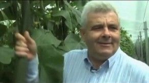 Panamá refuerza vigilancia sanitaria por bacteria E.coli