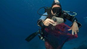 Provincia egipcia vetará los plásticos de un solo uso