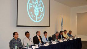 Con apoyo de FAO