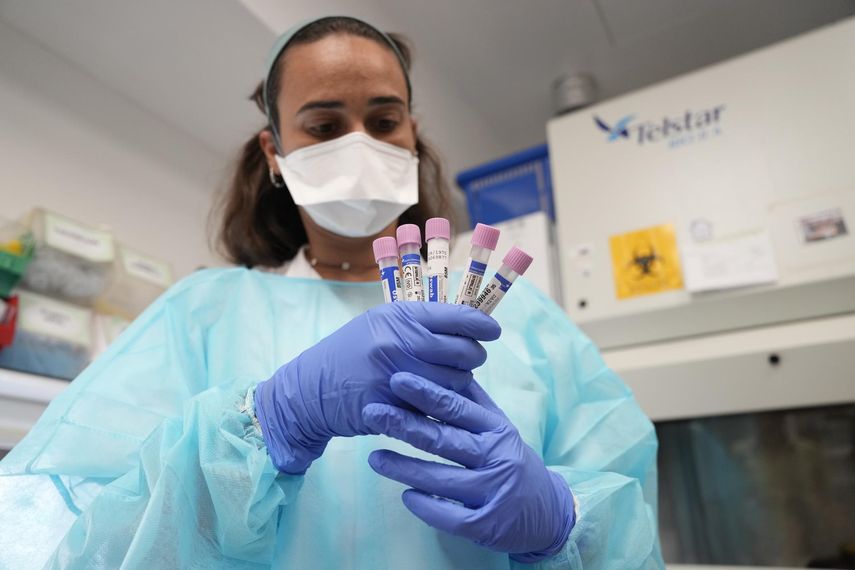 ¿Qué es y cómo se tramite la viruela del mono?