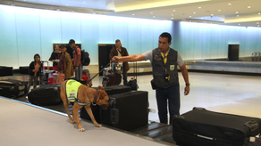 Unidad Canina del MIDA