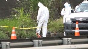 Especialistas reaccionan a crímenes violentos registrados en Panamá