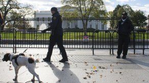 Detienen a un hombre por tratar de saltar la verja de la Casa Blanca