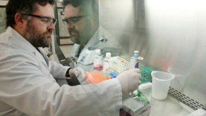 Cáncer: desarrollan método para detectar y capturar células metastásicas