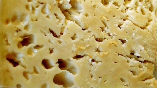 El queso casu marzu
