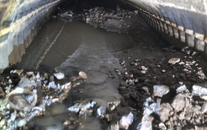 Programa de Saneamiento