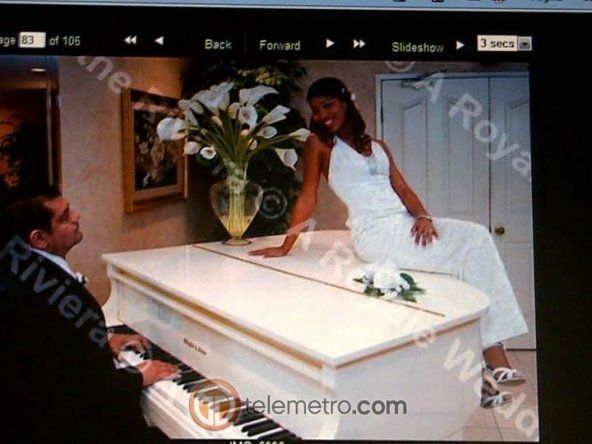 Panameños en el extranjero, también celebran