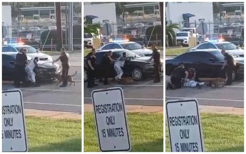 El video tomado con un celular muestra cómo el perro muerde el pie del hombre mientras éste grita de dolor.