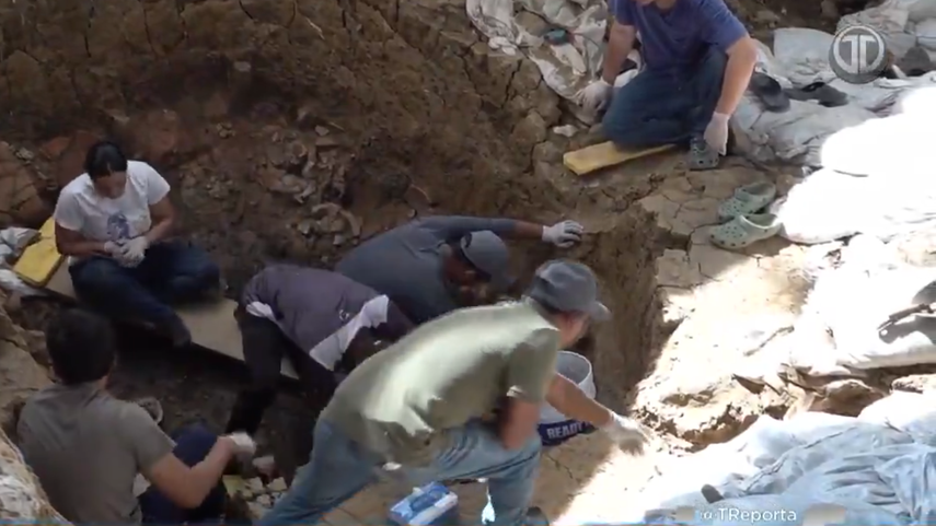 Hallazgo en El Caño