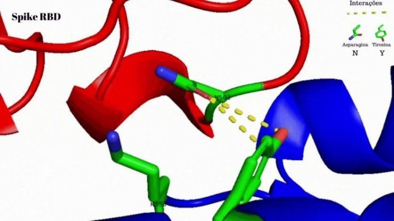 Identifican en Brasil factor que eleva el contagio de cepa británica de covid