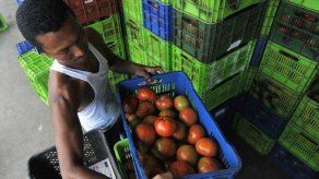 Precios mundiales de alimentos se mantuvieron estables en agosto