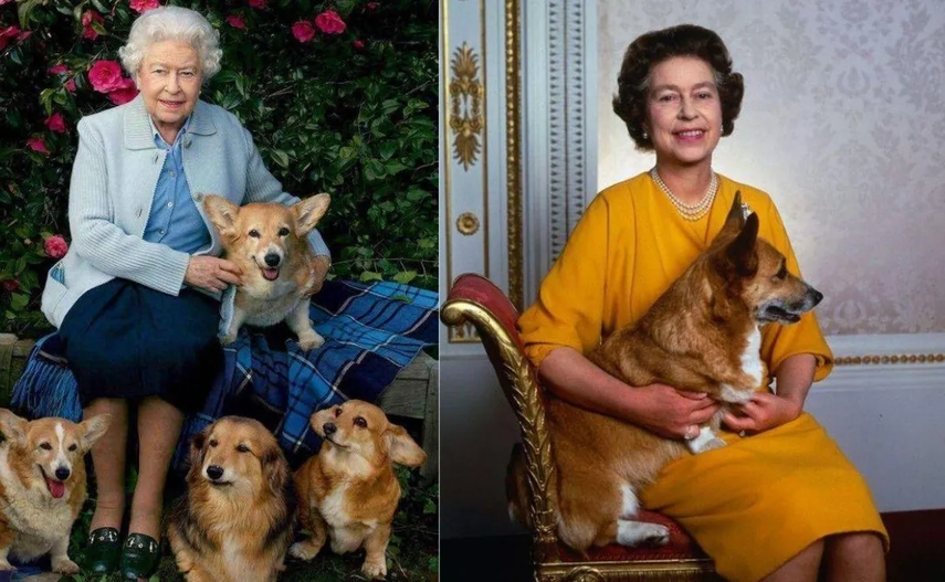 Reina Isabel ll junto a sus Corgis