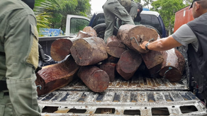 MiAmbiente MiAmbiente