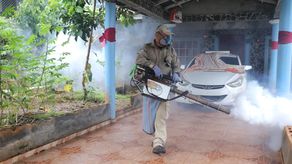 Dengue en Panamá.