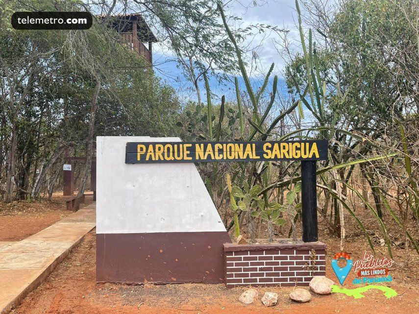 Parque Nacional Sarigua Un Tesoro De Parita