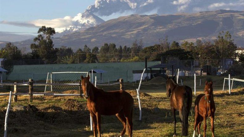 Nueva emisión de ceniza de volcán Cotopaxi alcanza dos kilómetros de altura