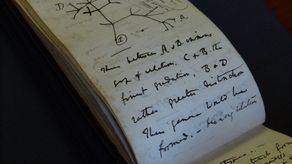 Los cuadernos se expondrán al público a partir de julio como parte de una exposición sobre Darwin en la biblioteca.