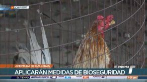 Dueños de galleras preparados para reapertura de la actividad