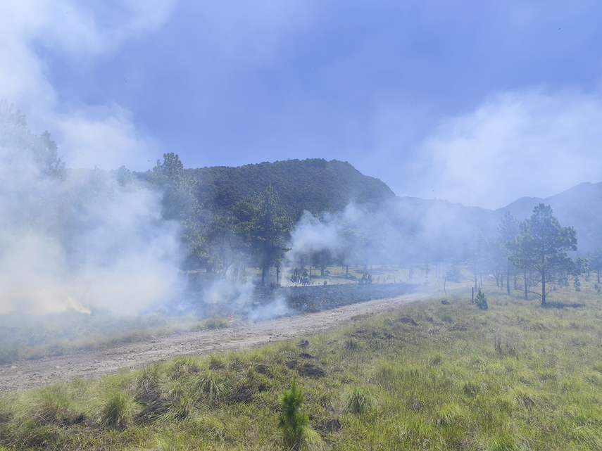 MiAmbiente y Bomberos lanzan campaña