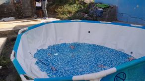 MINSA reporta más de 300 casos de dengue en San Miguelito