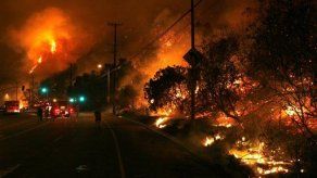 Arde incendio cerca del Centro Getty de Los Angeles