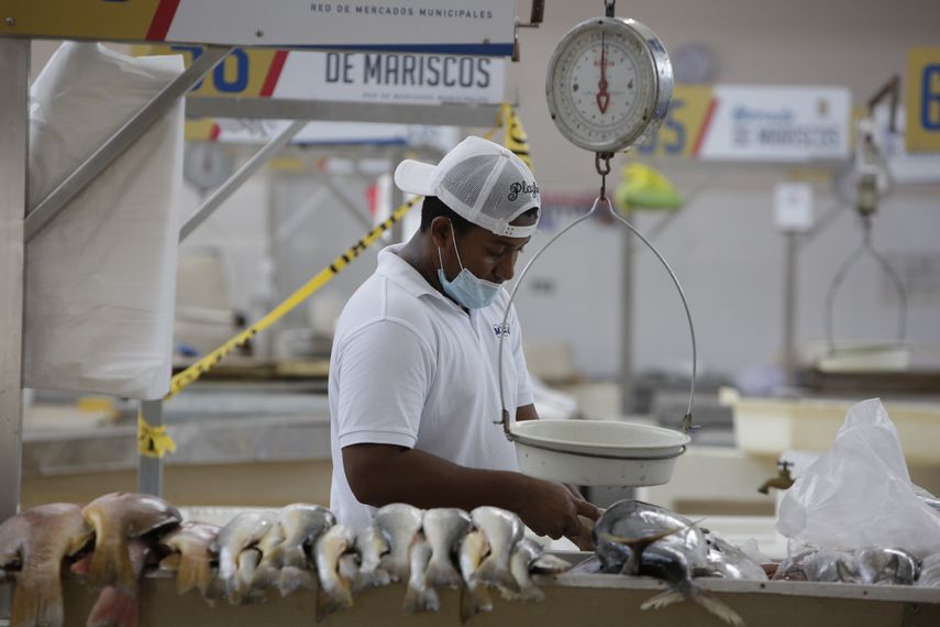 Foto ilustrativa de manipuladores de alimentos.