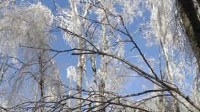 Científicos crean heladas para poder entenderlas mejor