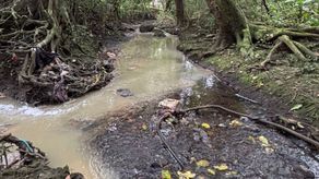 MiAmbiente interviene para limpiar cámara sanitaria y proteger el río Curundú.